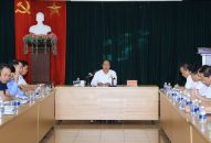 Thực hiện các biện pháp giảm thiểu ùn tắc tại bến phà Gót và tăng cường quản lý du lịch tại đảo Cát Bà