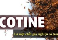 Cục Hải quan Hải Phòng: Tiêu hủy 3 lô tang vật có chứa chất nicotine