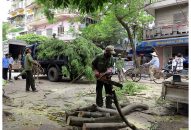 Trước mùa mưa bão: Khẩn trương chăm sóc cây xanh đô thị
