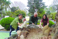 Sáng tạo bảo vệ môi trường làm việc