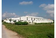 Kiên quyết ngăn chặn, xử lý xây dựng nhà xưởng trái phép trên đất nông nghiệp