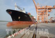 Chi nhánh Cảng Tân Vũ đón tàu container lớn nhất từ trước đến nay