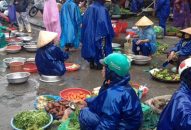 Thị trường – Hàng hóa: Giá lương thực, thực phẩm “ăn theo” trời mưa