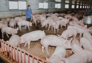 Giá thực phẩm leo thang