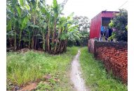 Tranh chấp đất đai tại thôn Ly Câu, xã Tân Viên, huyện An Lão:  Các bên liên quan có thể khởi kiện ra TAND huyện An Lão