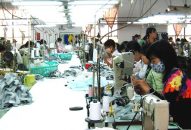 Tín hiệu vui từ thu ngân sách trên địa bàn huyện An Lão