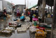 Sản lượng khai thác thủy sản tăng 18,4% so với cùng kỳ