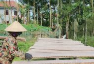 Thực phẩm chế biến công nghệ– nốt nhạc trầm của thị trường Hải Phòng