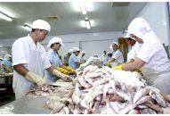 Cơ chế tài chính hỗ trợ doanh nghiệp nhỏ và vừa: Không thể chần chừ