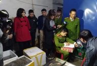 Thu giữ 60 kg tôm sú bơm tạp chất