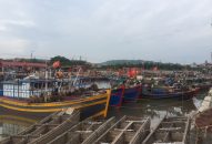 Lập Dự án đầu tư nâng cấp Cảng cá Ngọc Hải, quận Đồ Sơn