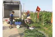 Doanh nghiệp liên kết sản xuất, tiêu thụ sản phẩm nông nghiệp: Mong cơ chế hỗ trợ cụ thể