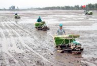 Huyện Kiến Thụy sau hơn 2 năm thực hiện Nghị quyết Đại hội Đảng bộ  Xây dựng nông thôn mới giai đoạn cao hơn