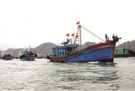 Ngành Thủy sản Hải Phòng năm 2018: Được mùa nhờ “cú hích” cơ chế