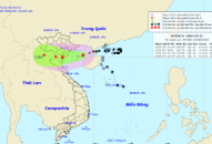 Thường trực Thành ủy yêu cầu tăng cường chỉ đạo chủ động phòng, chống bão số 4