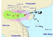 Công điện khẩn số 09/CĐ-CT về việc phòng, chống bão số 4
