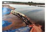 Hoạt động nạo vét luồng hàng hải kênh Cái Tráp bị cản trở: Cần có biện pháp xử lý kiên quyết