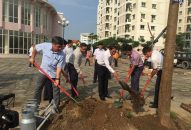 Quận Ngô Quyền: Tiếp nhận và phát động trồng 1.500 cây xanh
