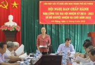 Liên hiệp Các tổ chức hữu nghị thành phố bàn công tác chuẩn bị Đại hội nhiệm kỳ 2018-2023