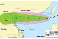 Các ngành, quận, huyện, cơ quan đơn vị khẩn trường thực hiện các nhiệm vụ phòng, chống bão số 5