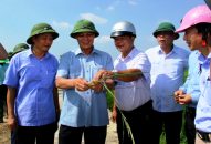 Chủ tịch UBND thành phố kiểm tra sản xuất nông nghiệp và công tác chủ động phòng chống bão