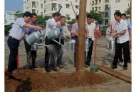 Quận Ngô Quyền tiếp nhận và trồng 1500 cây xanh