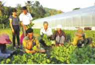 Công tác phát triển Đảng tại một số địa phương ven biển, hải đảo  “Tín hiệu vui” từ cách làm sáng tạo