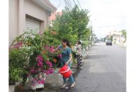 Phong trào “đường hoa phụ nữ”: Đẹp làng, tươi phố