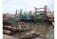 Đường dây điện 22kV kéo ngang sông Ruột Lợn thuộc tài sản của Tập đoàn Vingroup