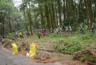 Quận Đồ Sơn: Ra quân dọn rừng năm 2018