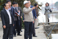 Đảm bảo giao thông cho người dân dịp Tết Nguyên đán trong khu vực dự án đường Lạng Am – Nhân Mục, Vĩnh Bảo