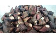 Mùa thu hoạch củ ấu