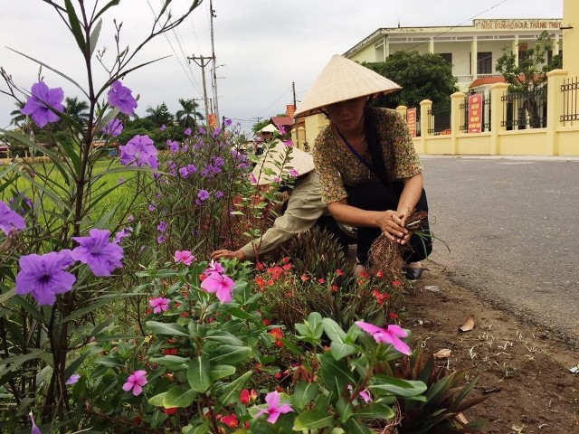 ntm hai phong: them mot bong hoa, bot mot tui rac hinh anh 1