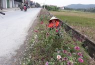 NTM Hải Phòng: Thêm một bông hoa, bớt một túi rác