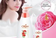 Công ty TNHH VICO: Mang đến sự yên tâm cho người tiêu dùng ngay từ khâu sản xuất