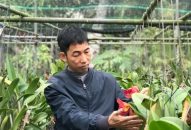 Duyên nghiệp từ lan