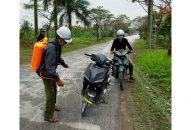 Phòng, chống bệnh dịch tả lợn châu Phi:  Các địa phương chủ động nhân lực, vật tư, khẩn trương vào cuộc