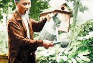 Mùa xuân là Tết trồng cây…