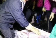 Phường Ngọc Hải (quận Đồ Sơn): Phát động ra quân sản xuất nghề cá năm 2019