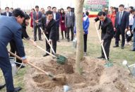 Chủ tịch UBND TP Nguyễn Văn Tùng trồng cây tại xã Toàn Thắng, huyện Tiên Lãng