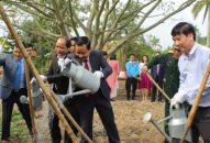 Quận Dương Kinh phát động tết trồng cây