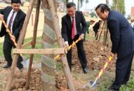 Quận Đồ Sơn: Phát động “Tết trồng cây xuân Kỷ Hợi 2019”