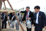 Lãnh đạo thành phố tham gia Tết trồng cây 2019
