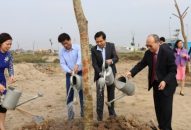 Quận Hải An: Phấn đấu phủ xanh các tuyến đường trục chính trong năm 2019