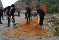 Huyện Cát Hải hưởng ứng Tết trồng cây xuân Kỷ Hợi 2019