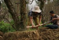 Huyện An Dương: Tổng thu nhập từ hoa, cây cảnh trong dịp tết Kỷ Hợi 2019  đạt hơn 182 tỷ đồng