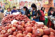 Thị trường Hải Phòng dịp Tết:  Thị trường bình ổn, người dân hưởng lợi