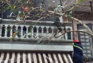 Khuyến cáo Phòng cháy chữa cháy: Phòng chống cháy, nổ sau Tết