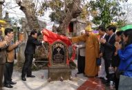 Công nhận 2 cây di sản tại xã Đoàn Lập (Tiên Lãng)