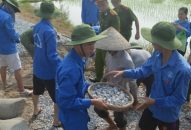 Đoàn Thanh niên các cấp: Tu sửa 9,7 km đường giao thông nông thôn